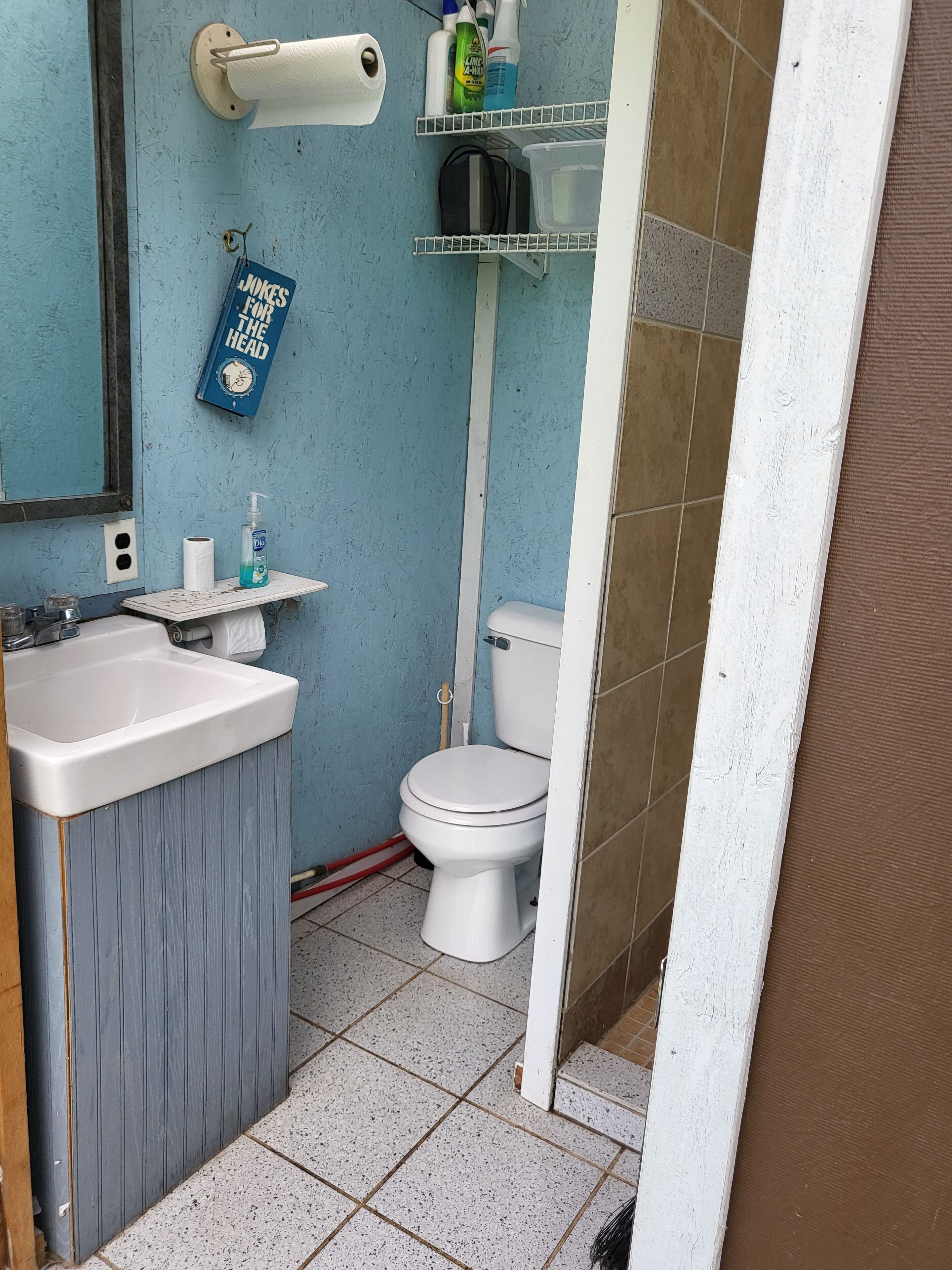 A bathroom with a sink, toilet, and shelves holding toiletries.
