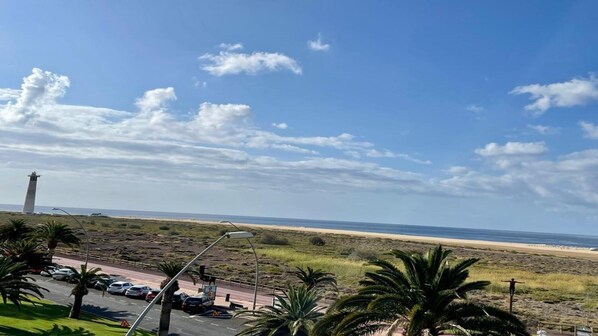 A coastal road with a lighthouse, palm trees, and a beach in the background.