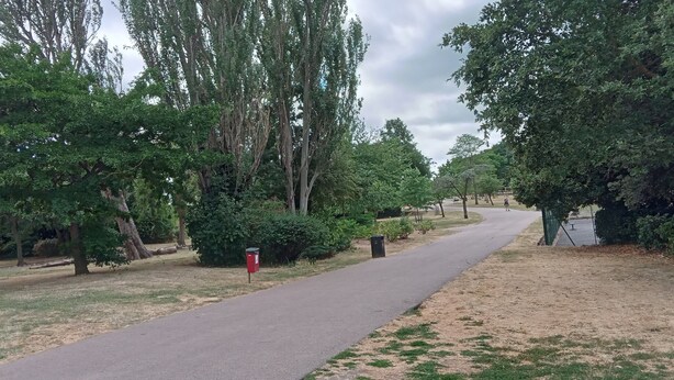 Un sentier pavé dans un parc, bordé d’arbres des deux côtés.