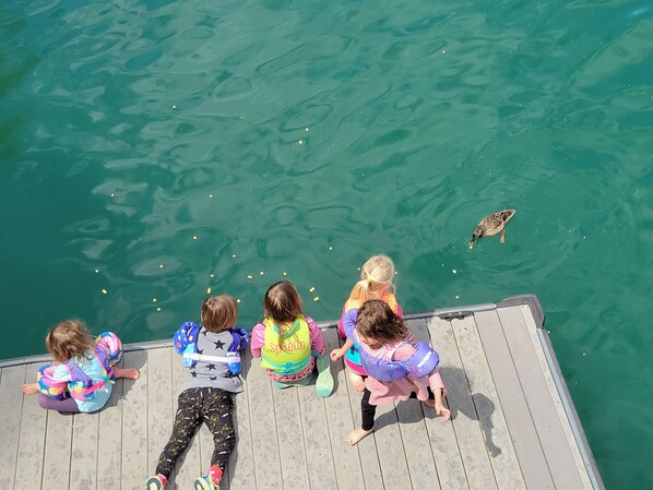 A group of children on a wooden dock by a body of water, wearing life jackets and watching a turtle.