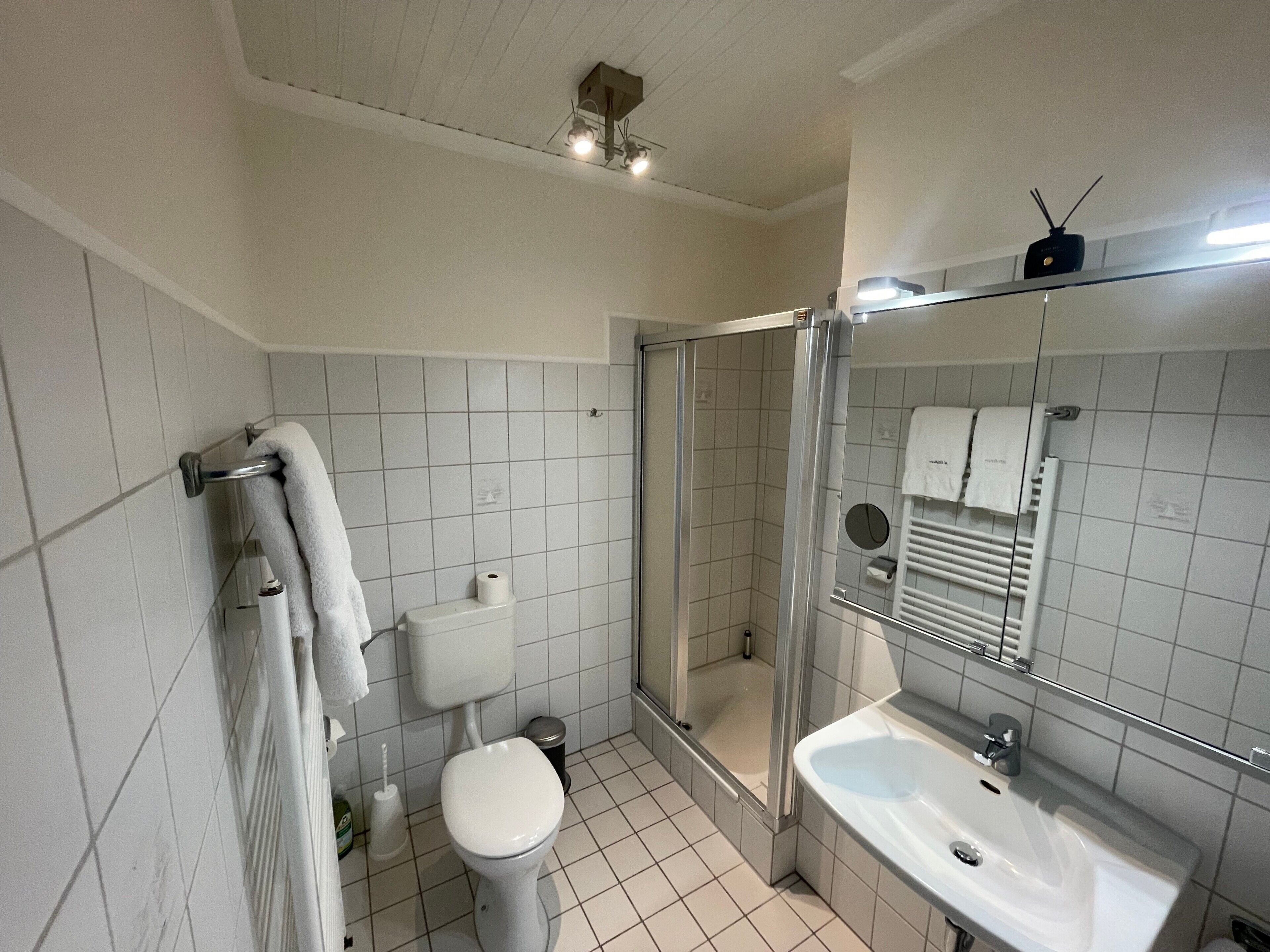 Dusche, Haartrockner, Handtücher