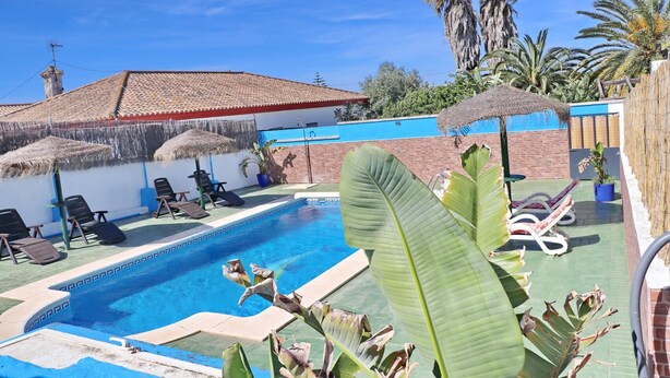 A swimming pool with lounge chairs, a brick wall, and palm trees. - Chalet Blue in Conil de la Frontera (Conil de la Frontera)