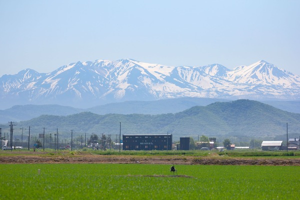 Vue sur les montagnes