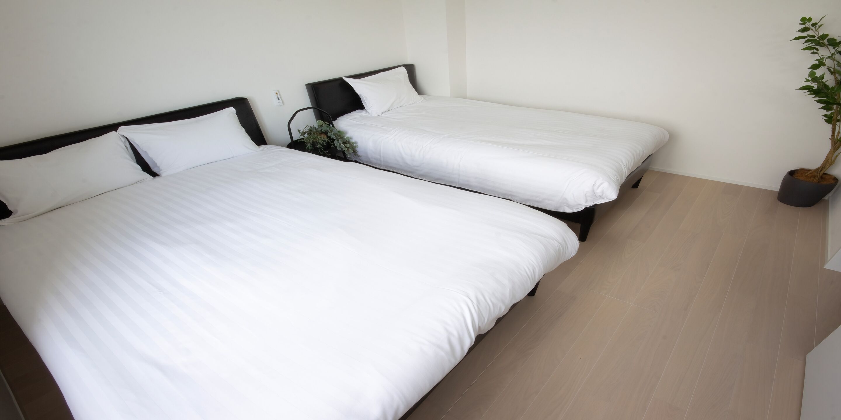 Twee eenpersoonsbedden met witte beddengoed en zwarte hoofdborden in een kamer met licht houten vloeren en een potplant.