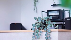 Un mostrador de recepción con una encimera de madera, una silla de oficina negra, un ordenador de escritorio y una planta colgante.
