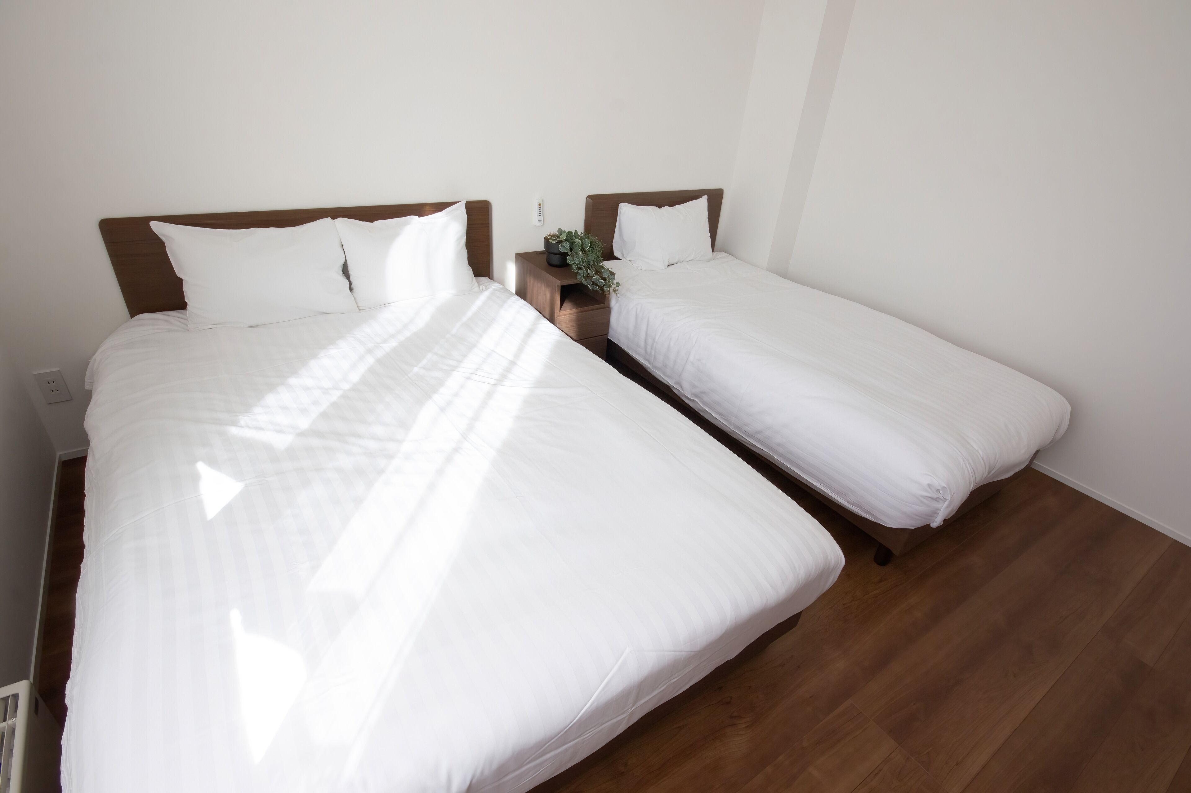 Two single beds with white bedding, wooden headboards, and a small bedside table with a plant.