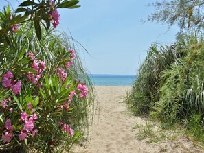 A sandy beach path with pink flowers and green foliage on the sides, leading to the sea. - Spacious Maisonette on the "eu Blue Beach" of Kalogria in Sithonia in Greece (Sithonia)