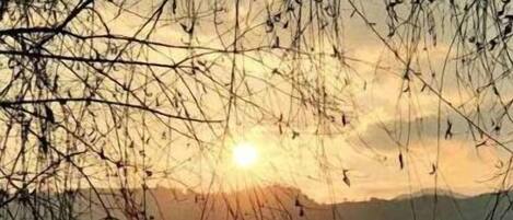 Un atardecer con el silueta de una cadena montañosa y ramas desnudas en primer plano.