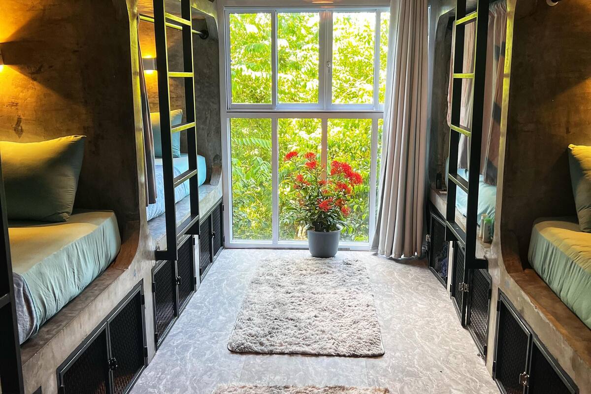 Chesher Cat (12 Beds Dorm) | Free WiFi, bed sheets