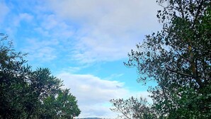 Vista d'un llac amb un pont al fons, envoltat d'una vegetació abundant.