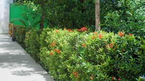 Un sentier bordé d’une végétation luxuriante et de fleurs rouges, qui mène à une structure recouverte d’un écran vert.