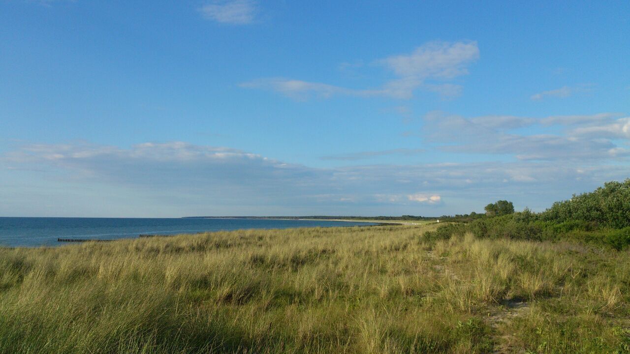A coastal landscape with grassy dunes, a clear sky, and a distant view of the sea.