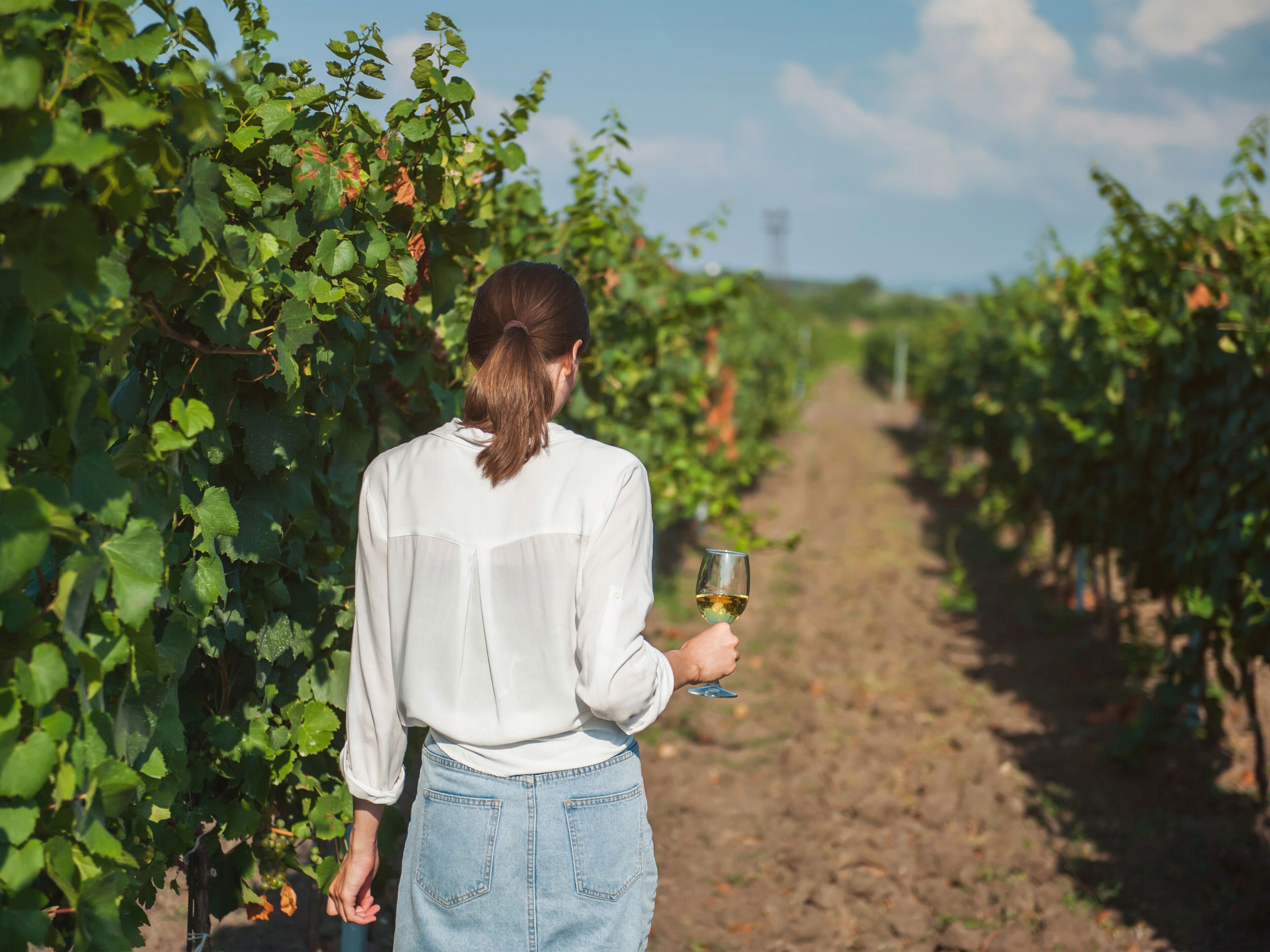 A person walking through a vineyard holding a glass of wine.