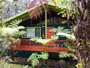 Property grounds - The Jungalow is a charming renovated bungalow minutes from Volcano National Park (Volcano)