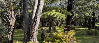 The Jungalow is a charming renovated bungalow minutes from Volcano National Park