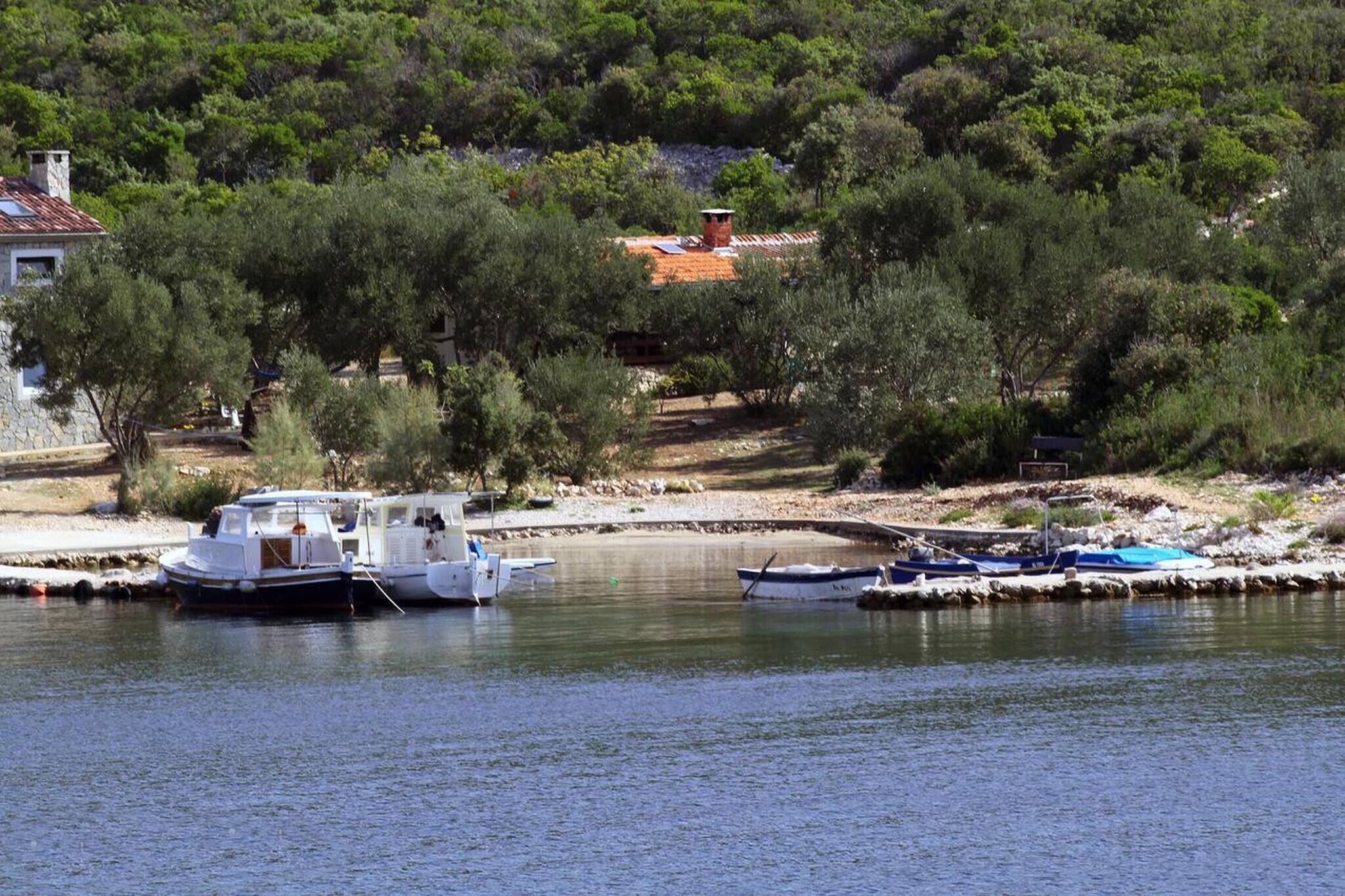 A marina with boats docked, surrounded by trees and a building with a red roof in the background.