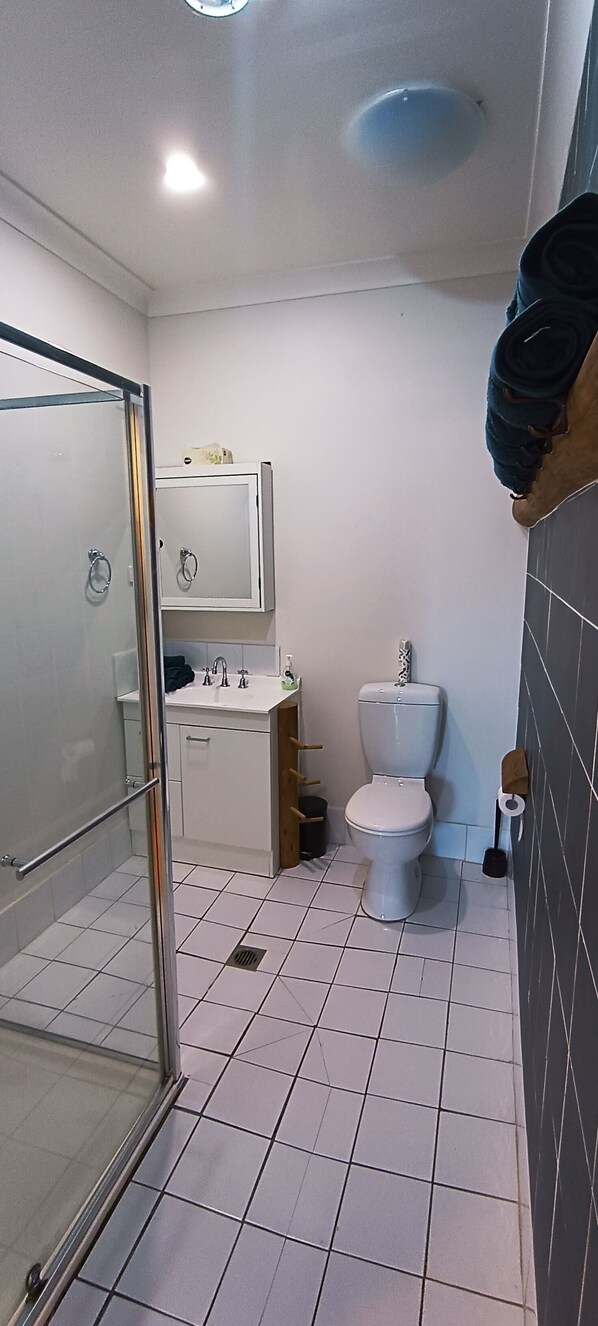 Une salle de bain avec une douche à parois de verre, un lavabo blanc, des toilettes et un porte-serviettes.
