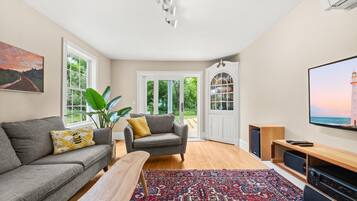 Smart TV, fireplace, books