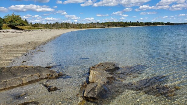 Une plage dégagée, avec des rochers visibles et une rive bordée d’une forêt.