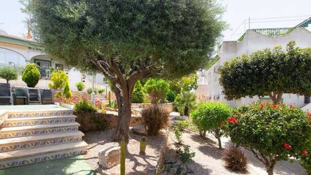 A courtyard with a pool, steps leading to a building, and various trees and shrubs.