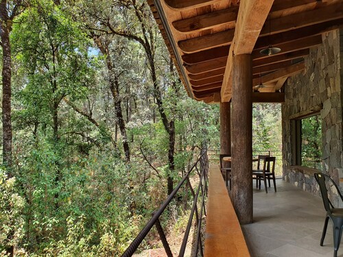 Cozy house in the woods