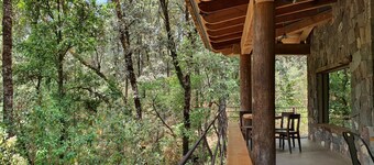 Cozy house in the woods