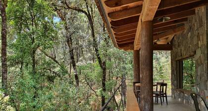 Cozy house in the woods