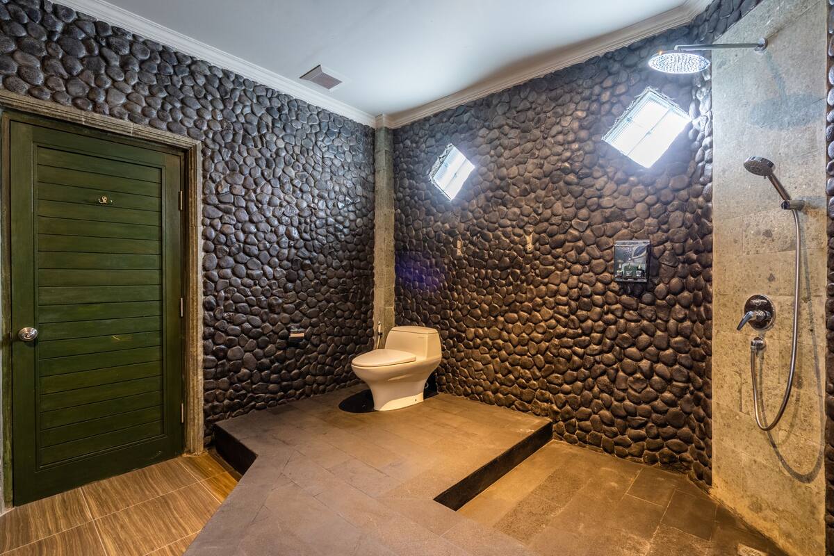 A bathroom with a stone wall, a toilet, a shower, and a green door.