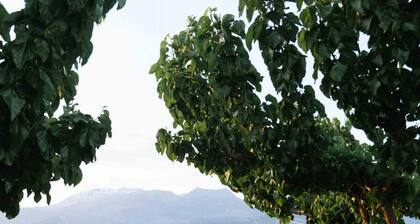 Amfithea Villas Petrokefali 1