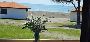 Terrace/patio - Ada Bojana - FKK island (Ulcinj)