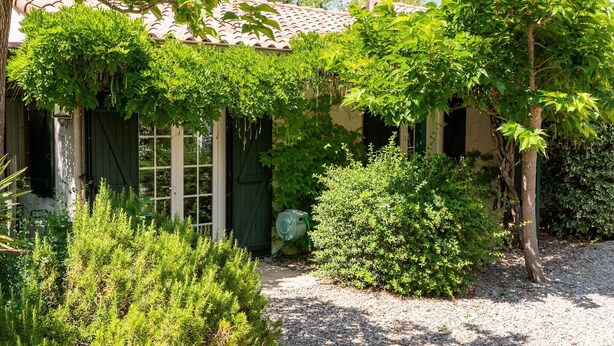 Un jardín con una casa, un camino de grava y una valla verde.