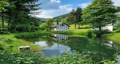 Rückzugsort am Teich in Winterberg