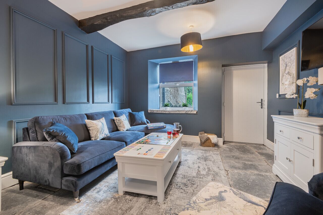Smart TV, fireplace, books