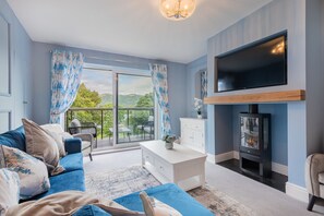 Smart TV, fireplace, books