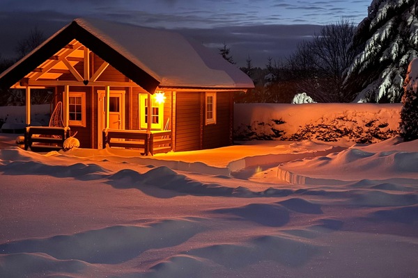 Winter 2023/2024