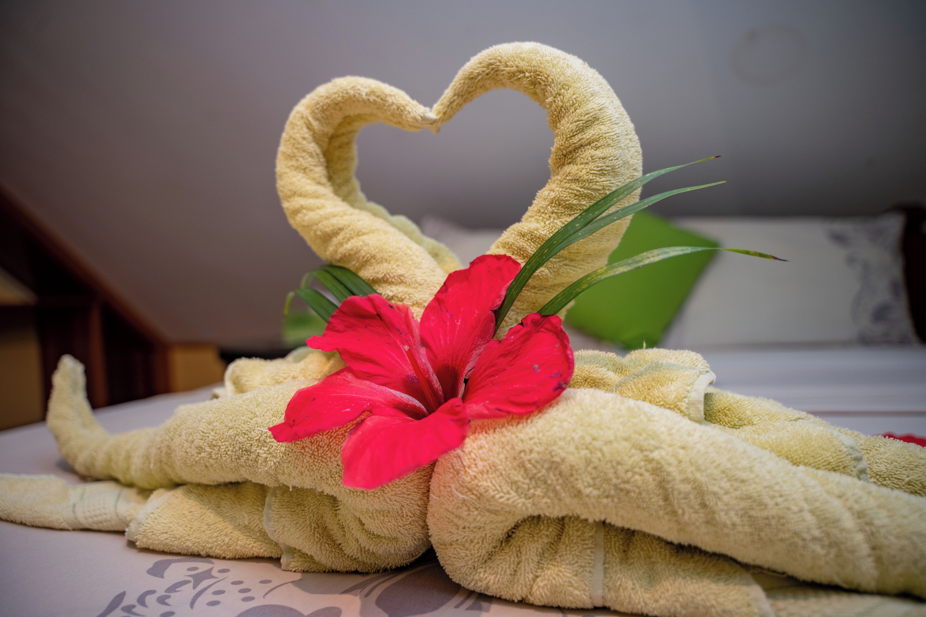 A bed with a towel arranged in a heart shape, a red hibiscus flower, and green leaves.