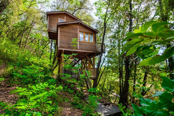 A wooden treehouse with a balcony and a staircase, surrounded by dense forest.