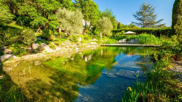 Un jardín tranquilo con un estanque, abundante vegetación y un área de descanso con sombrillas.