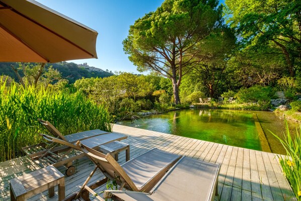 Property grounds - Holiday treehouse "King Louie and Mowgli" with Shared Natural Pool, 2 Private Terraces & Wi-Fi (Saint-Paul)