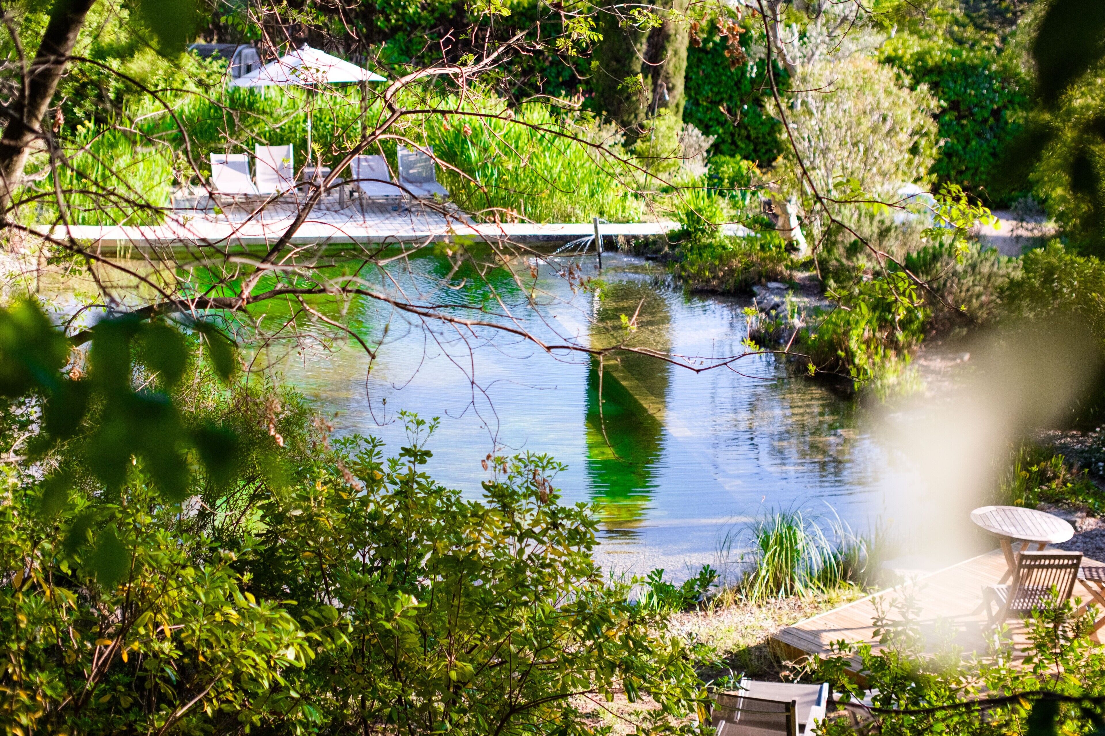 Terrein van de accommodatie