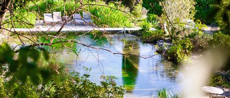 A serene pond with a wooden deck and chairs, surrounded by lush greenery.