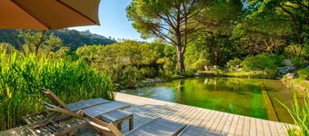 Holiday treehouse "King Louie and Mowgli" with Shared Natural Pool, 2 Private Terraces & Wi-Fi