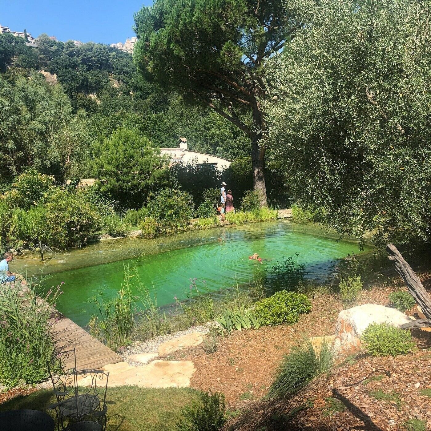 Une piscine extérieure paisible, entourée d’une végétation luxuriante et bordée d’un sentier en pierre.