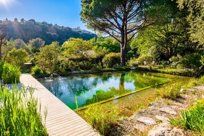 A serene outdoor area with a wooden deck, a small pond, and lush greenery. - Holiday Treehouse "Shere Khan" with Shared Pool, 2 Private Terraces & Wi-Fi (Saint-Paul)