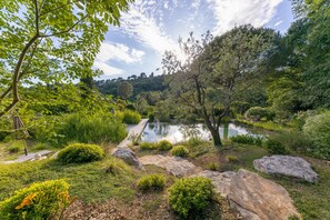 Ein friedlicher Garten mit einem Teich, umgeben von üppiger Bepflanzung und großen Felsen.