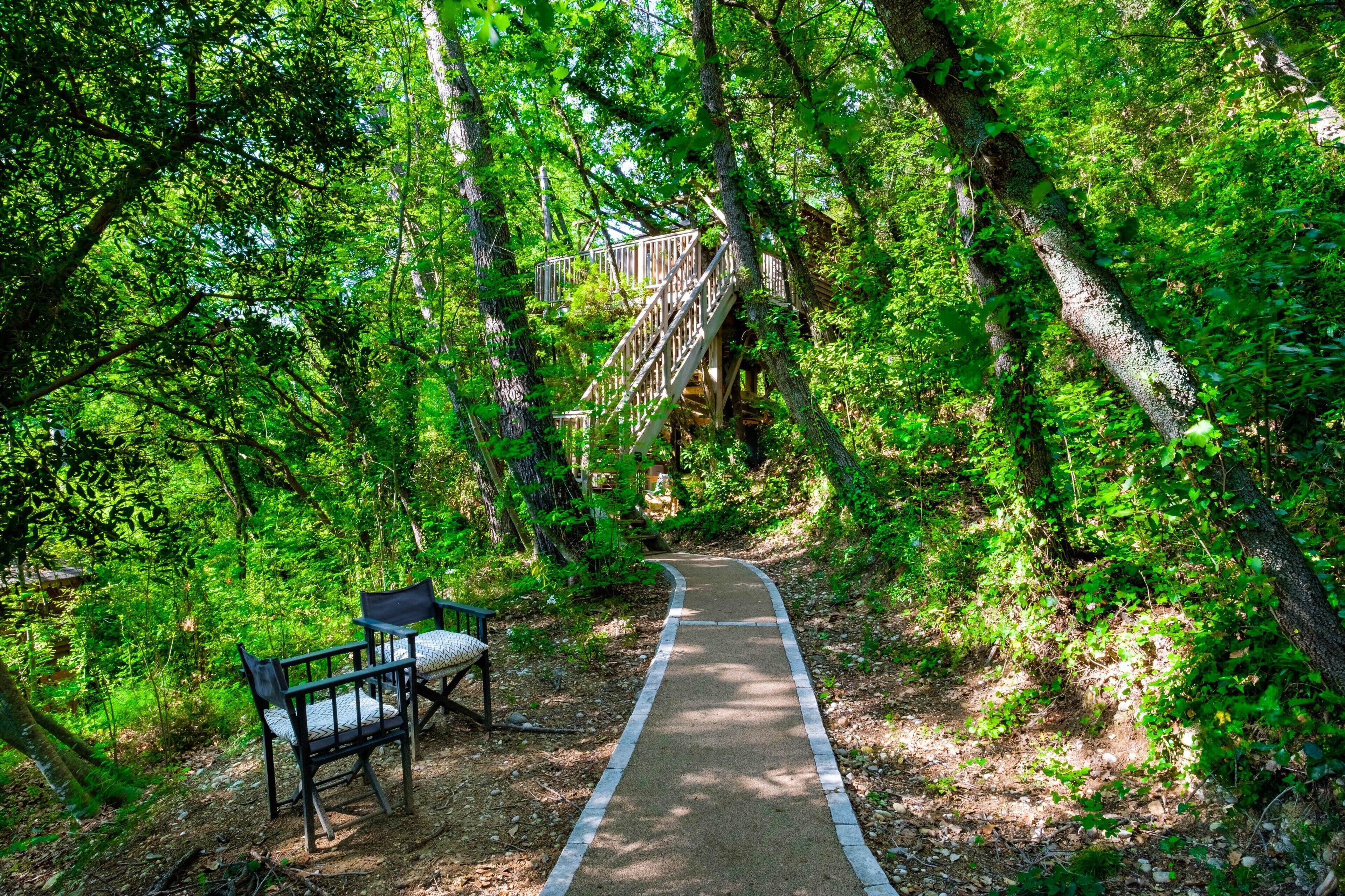 A forested path with a wooden bridge, benches, and a paved walkway.
