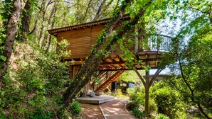 A wooden cabin with a covered porch, surrounded by dense forest. - Holiday treehouse "Bagheera" with Shared Pool, Private Terrace & Wi-Fi (Saint-Paul)