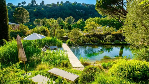 A serene lakeside setting with a wooden dock, lush greenery, and a clear view of the surrounding landscape. - Holiday treehouse "Bagheera" with Shared Pool, Private Terrace & Wi-Fi (Saint-Paul)