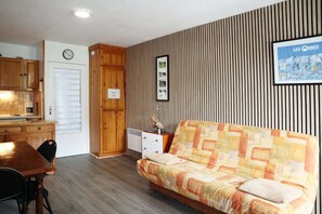TV - Studio Équipé Pour 4 Personnes (LES ORRES 1650)