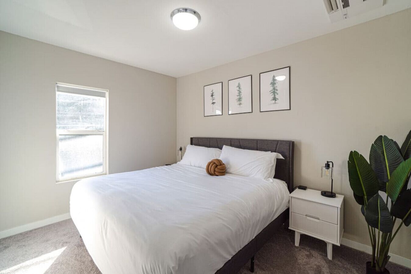 2 habitaciones, escritorio, tabla de planchar con plancha y wifi gratis 